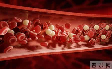 血栓和喝水有关？研究发现：越喜欢睡前喝水的老人，越容易有血栓