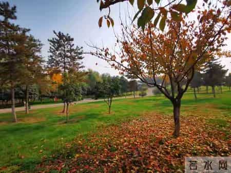 职场中，做事漂亮不如处事漂亮