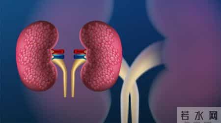 素食中的嘌呤大户，越吃痛风、肾病来得越快，再喜欢也要少吃