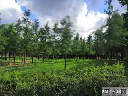 我退休后，不打麻将，聚会，跳广场舞，这样生活也感觉很充实