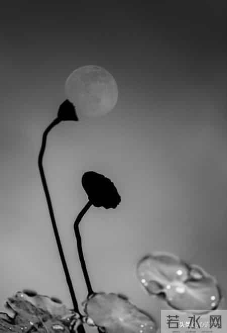 我52岁，退休后才发现：哪怕每月一两千的退休金，也是被人羡慕的