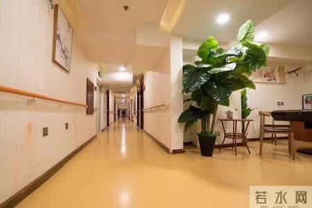 437步到餐厅！养老院设计反人性，老人刚需被硬件升级忽略