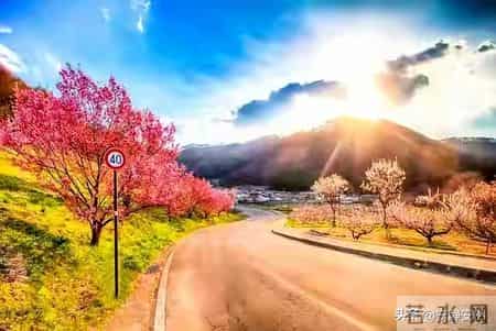 我退休后，不打麻将，聚会，跳广场舞，这样生活也感觉很充实