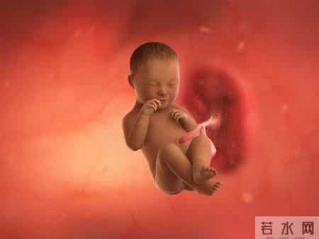 怀孕1-40周，胎儿发育每周变化！孕妈妈的干货科普