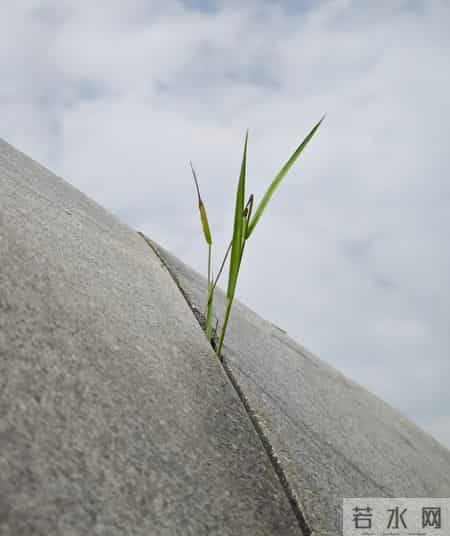 行政事业编为啥能100%计发养老金没缴费的工龄也认真相藏在关键里