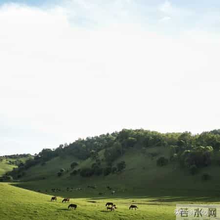 我70岁丧偶，独居五个月后才明白：失去伴侣的晚年生活，真没意思