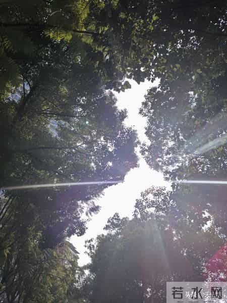 我55岁退休5年退休金2580元，12月份有3份其他收入，存了1200元