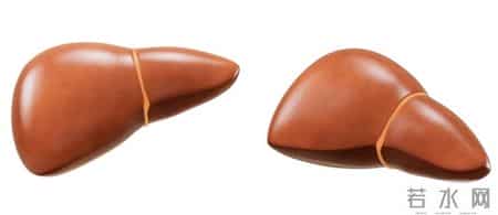 长期服用护肝片，身体正在发生的四个关键变化与真相