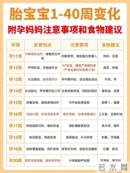 胎儿1-40周发育全攻略！孕妈照做，宝宝健康长大