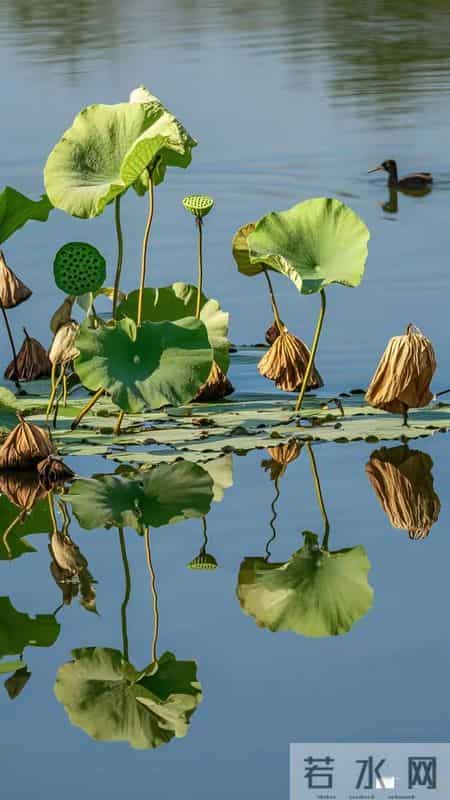 老了才明白：一个人能活到75岁，是有老天的恩典