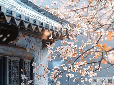 这个时代最稀缺的不是聪明，是定力