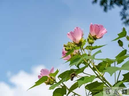 一个家庭过得好不好，看妈妈累不累就知道