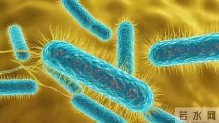 以为是节省，其实在“养癌”，这些习惯很多人都有，你中了几条？