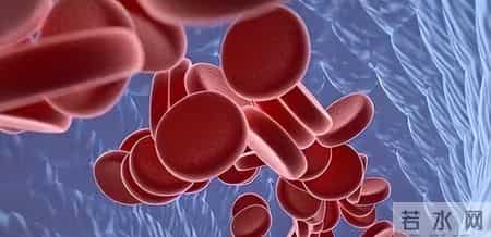 一听到“血液病”就慌？别怕这4种常见类型，管好了和正常人一样