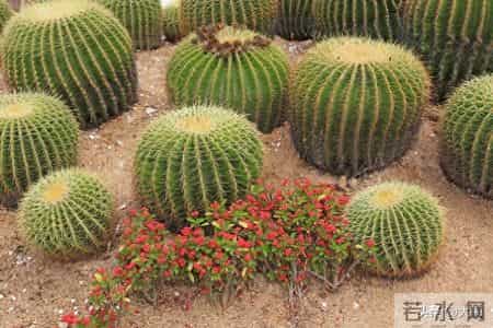 如果你到了六十，还在奔波打工，我想对你说几句真心话。