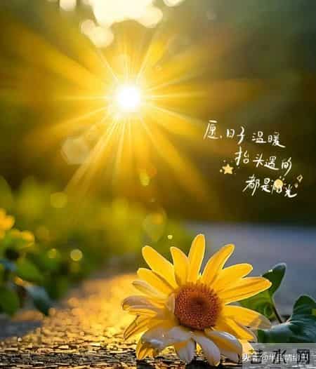 老了才懂：一辈子能攒下十万存款，不是因为会算计，是日子厚待