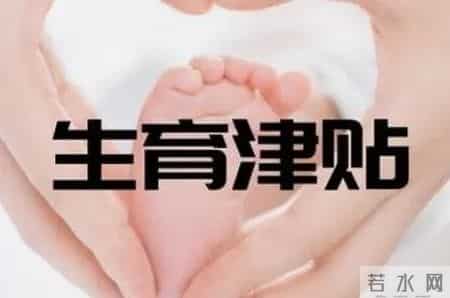 2026年生育金发放标准及申领指南详解!