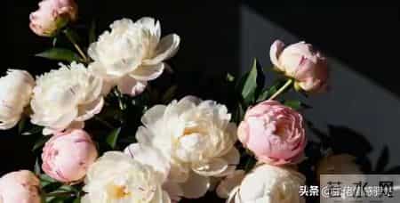 两生关系-68岁女人大实话，男人过了71岁，只剩下两个用处