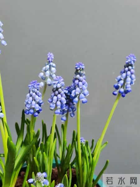 年轻人，趁现在拼尽全力赚钱，多赚钱才是你的头等大事！