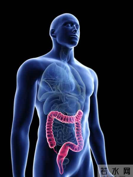 为啥很多人不愿意做肠镜？美国研究：做一次肠镜，或保十年安全？