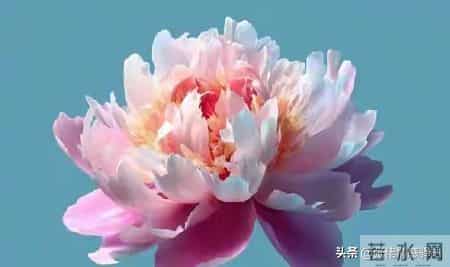 两生关系-68岁女人大实话，男人过了71岁，只剩下两个用处