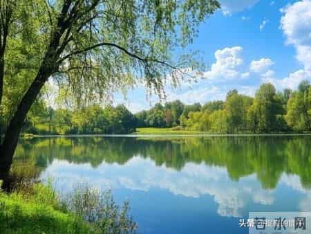 多动症孩子不是“问题儿童”，是未被读懂的天使