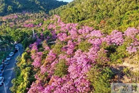 退休后惠州海边住一月，实地算账扎心了！3500 元能活，但未必能忍