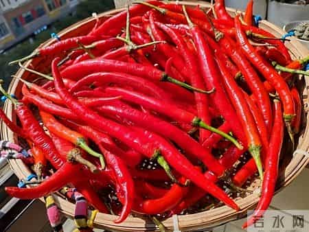 医生发现爱吃辣椒的人，胃癌、糖尿病、全因死亡率，比同龄人低