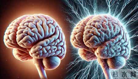 酸菜正在悄悄改变你的大脑？医生提醒：发酵食品或影响海马体功能