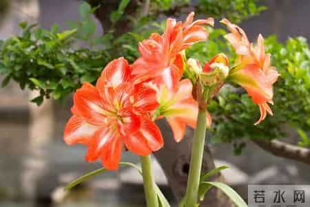 你家孩子马上要遇贵人了！但得教会他“接住”