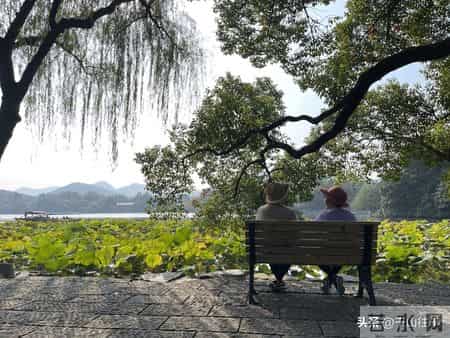 宁愿独居也不跟儿子同住，戳中老人心声：忍气吞声不如独自清净！