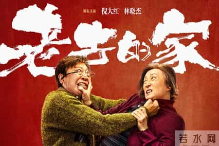 房子归谁、谁来养老、黄昏恋要不要管，将三亿家庭的遮羞布扯开