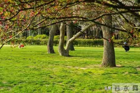 我终于明白：女人唯一的出路是工作！