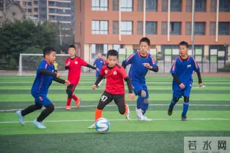 九龙坡区蟠龙小学发布招聘公告