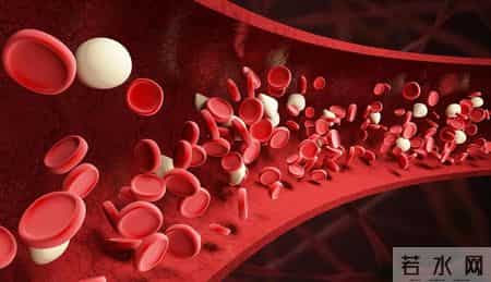 一勺猪油等于八副药？医生苦劝：高血压患者吃猪油，要牢记这些点