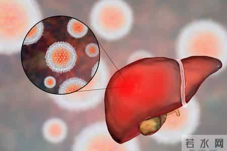 米酒立大功？研究发现：经常喝米酒的男人或有6个健康益处