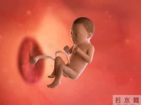 怀孕1-40周，胎儿发育每周变化！孕妈妈的干货科普