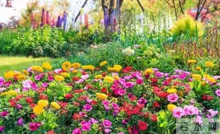 一个家庭最大的悲哀，不是穷，是五六十岁的父母“吃力不讨好”