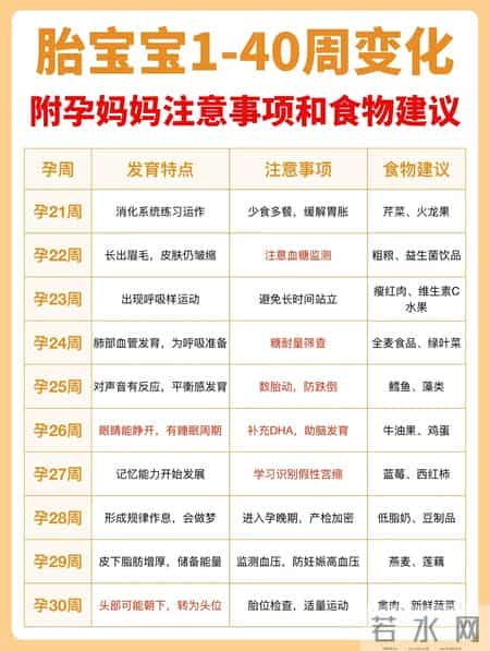 胎儿1-40周发育全攻略！孕妈照做，宝宝健康长大