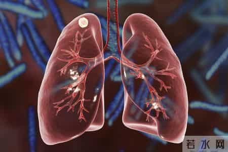 肺癌与散步有关？医生再三提醒：60岁以后，散步时要多注意这几点