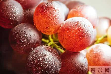 葡萄再次被热议！研究指出：甲状腺患者吃葡萄，要留意这 3 点