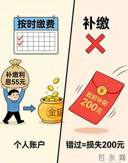 城乡居民社保补缴：利息是“障眼法”，补贴才是“真金白银”