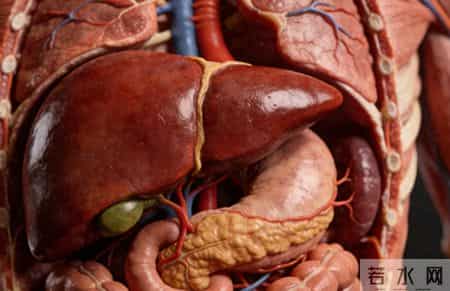 肝脏悄悄“发炎”时，身体会发出这3个信号，别再傻傻忽视