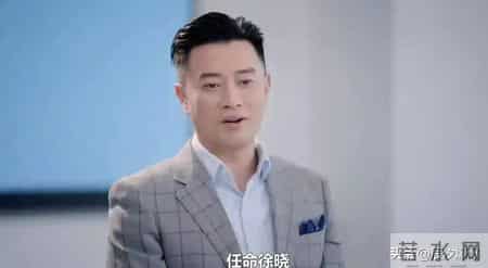 谁没在《不期而遇的生活》里看到自己？职场哪是上班，分明是渡劫