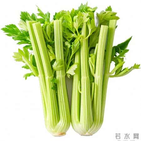 芹菜大量上市！医生再三强调：糖尿病患者吃芹菜，多注意这5点！