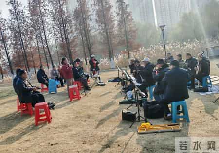 他们晒的不是太阳，晒的是“财务自由”