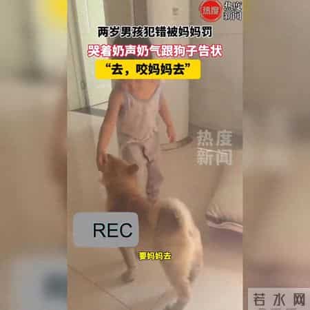 两岁宝宝挨批评，转身向爱犬撒娇求“主持公道”