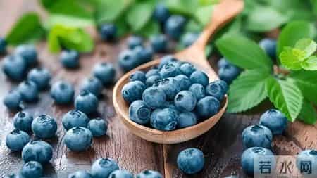 猕猴桃可以抑制癌细胞生长扩散？医生建议：多吃这4物，有助预防