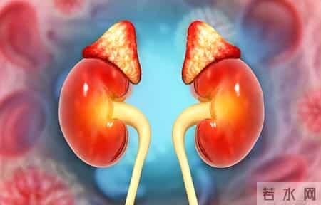 人有没有肾衰竭，看平常就知？肾病患者，日常有这6个表现！