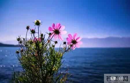 惊人的母子定律：原来母亲的样子，决定了孩子的一生